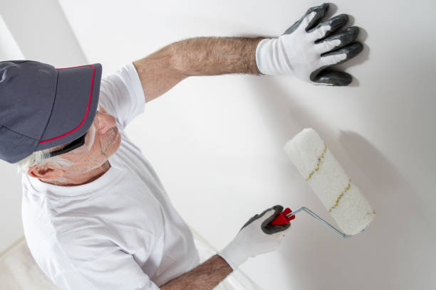 Best Post-Remediation Verification Testing  in Gillett, WI