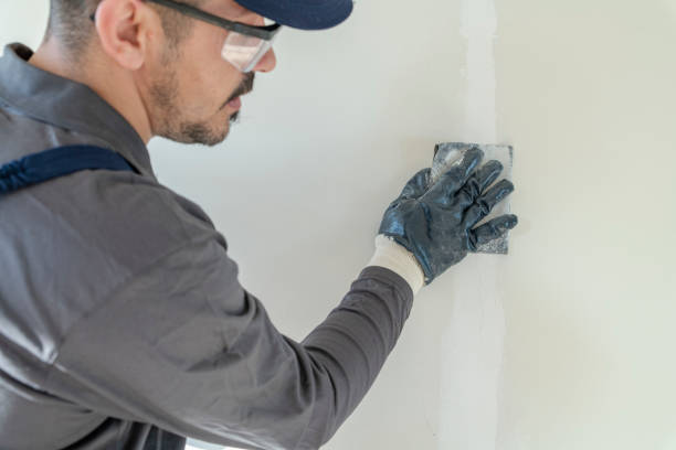 Best Asbestos and Lead Testing During Mold Inspection  in Gillett, WI