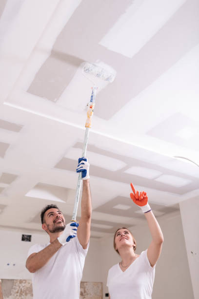 Best Mold Damage Restoration  in Gillett, WI