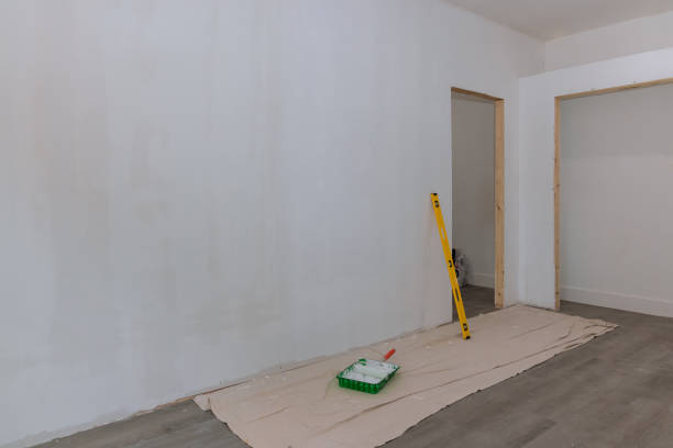 Best Mold Remediation for Vacation Homes  in Gillett, WI