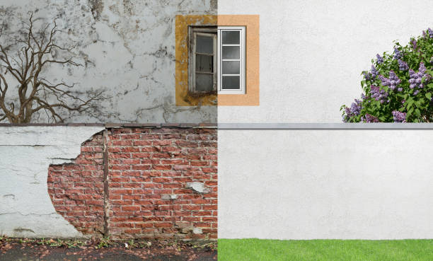 Best Mold Prevention Services  in Gillett, WI