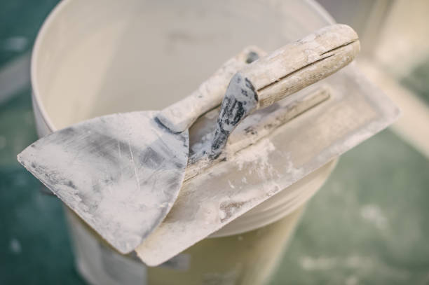 Best Forensic Mold Investigation  in Gillett, WI